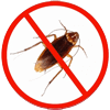 end of lease pest control brisbane
