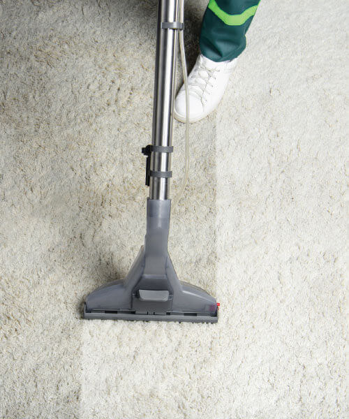 Carpet steam cleaning service